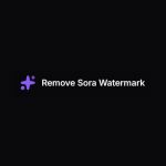 removesorawatermark