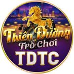 tdtcadidas