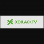 xoilacbongdaink