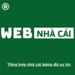 webnhacai