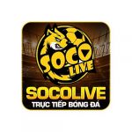 socolive360Net