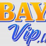 bayvipli1