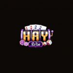 haywinvipuscom