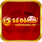 sodosieutocnet
