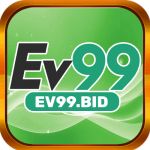 ev99bid