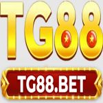tg88inc