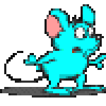 Mouse103