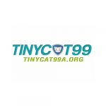 tinycat99aorg
