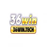 36wintech