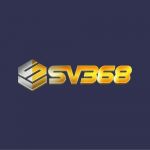 sv368k1com