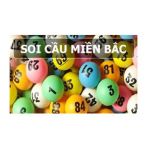 soicaumb2023