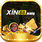 xin88wan