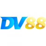 dv88codes