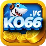 ko66vc