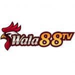 wala88tv