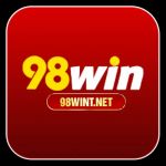 98wintnet