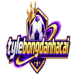 bongdanhacaipro