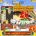 mog777