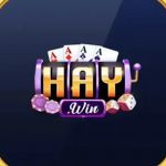 haywintech01