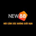 new88pett