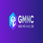 gmnc88vip
