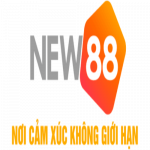 new88blogorg1