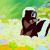 Pastebin profile picture for @Karki