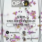 yeonsinnaeinshop
