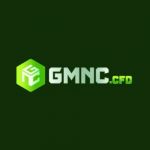 gmnccfd