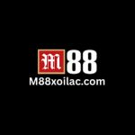 m88xoilaccom