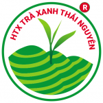 trathainguyenvt