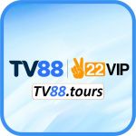 tv88tours