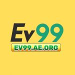 Ev99aeorg1