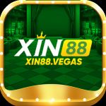 xin88vegas1