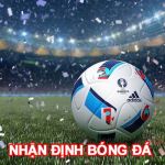 nhandinhbongda96