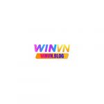 winvnblog
