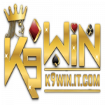 k9winitcom