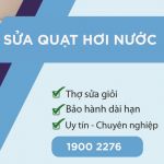 suaquathoinuoclimosa