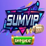 sumvipgamenet1