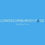 lowescomsurvey-page