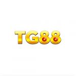 mtg88net