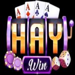 haywinappcom