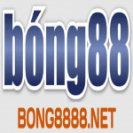 bong8888net