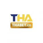 thienhabet-thabet