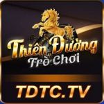 tdtctv