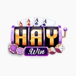 Haywin1lol