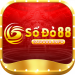 sodo88info