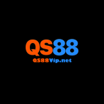 qs88vipnet