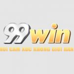99windomains