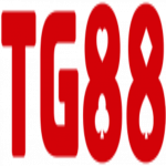 ktg88com
